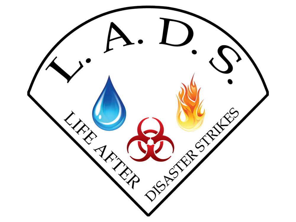 Life After Disaster Strikes (L. A. D. S)