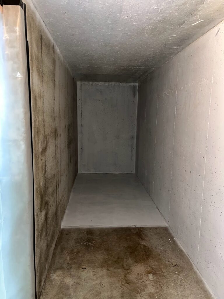 Mold Biohazard at Home Removed