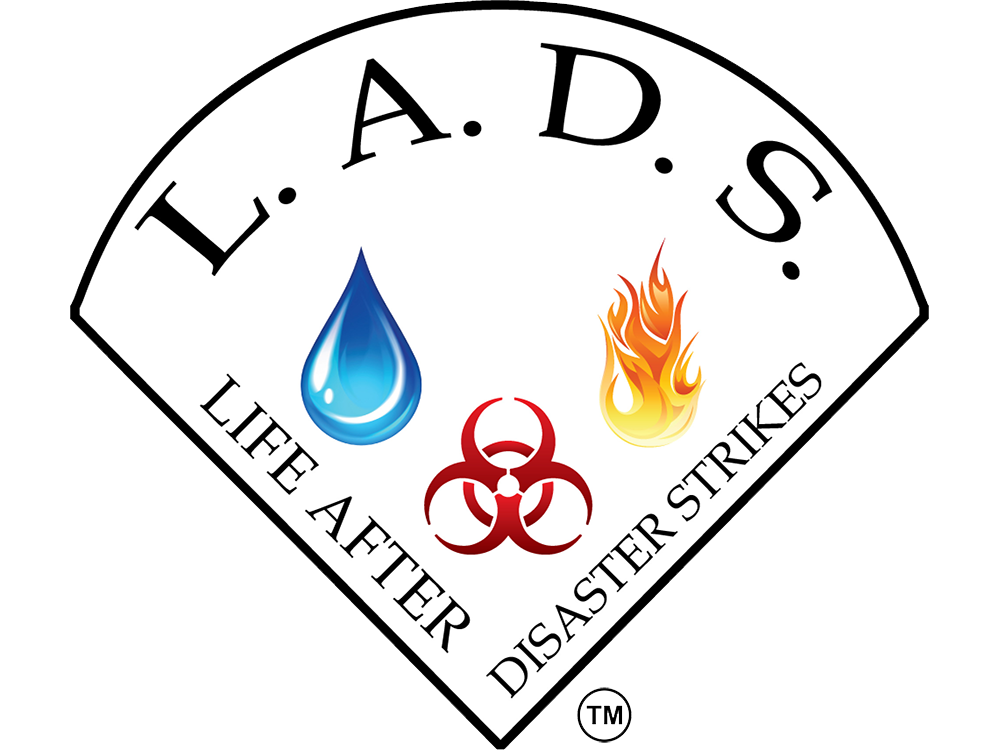 Life After Disaster Strikes (L. A. D. S)